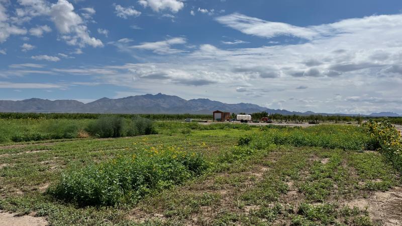 photo of farm in Tucson with mountains in the background