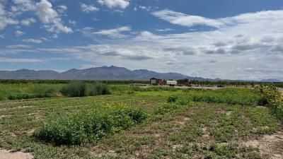 photo of farm in Tucson with mountains in the background